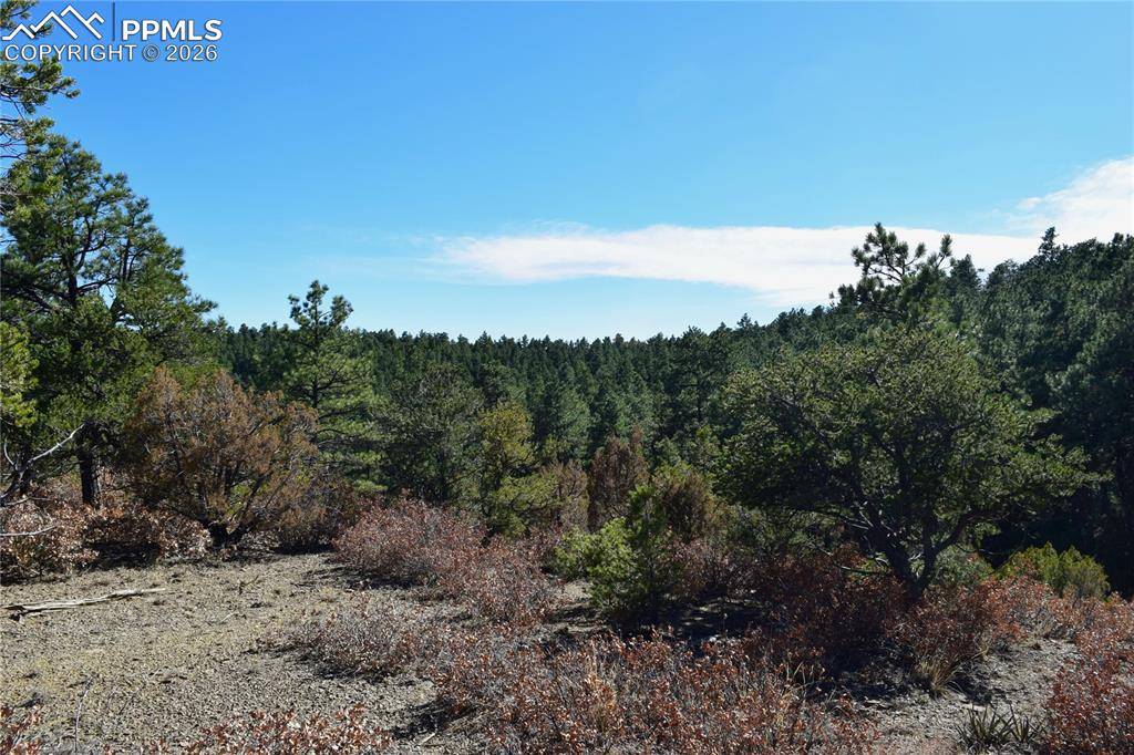 000 Ponderosa TRL, Trinidad, CO 81082