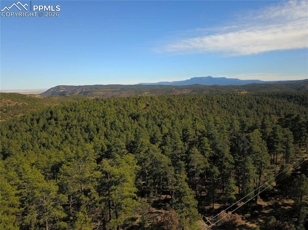 000 Ponderosa TRL, Trinidad, CO 81082