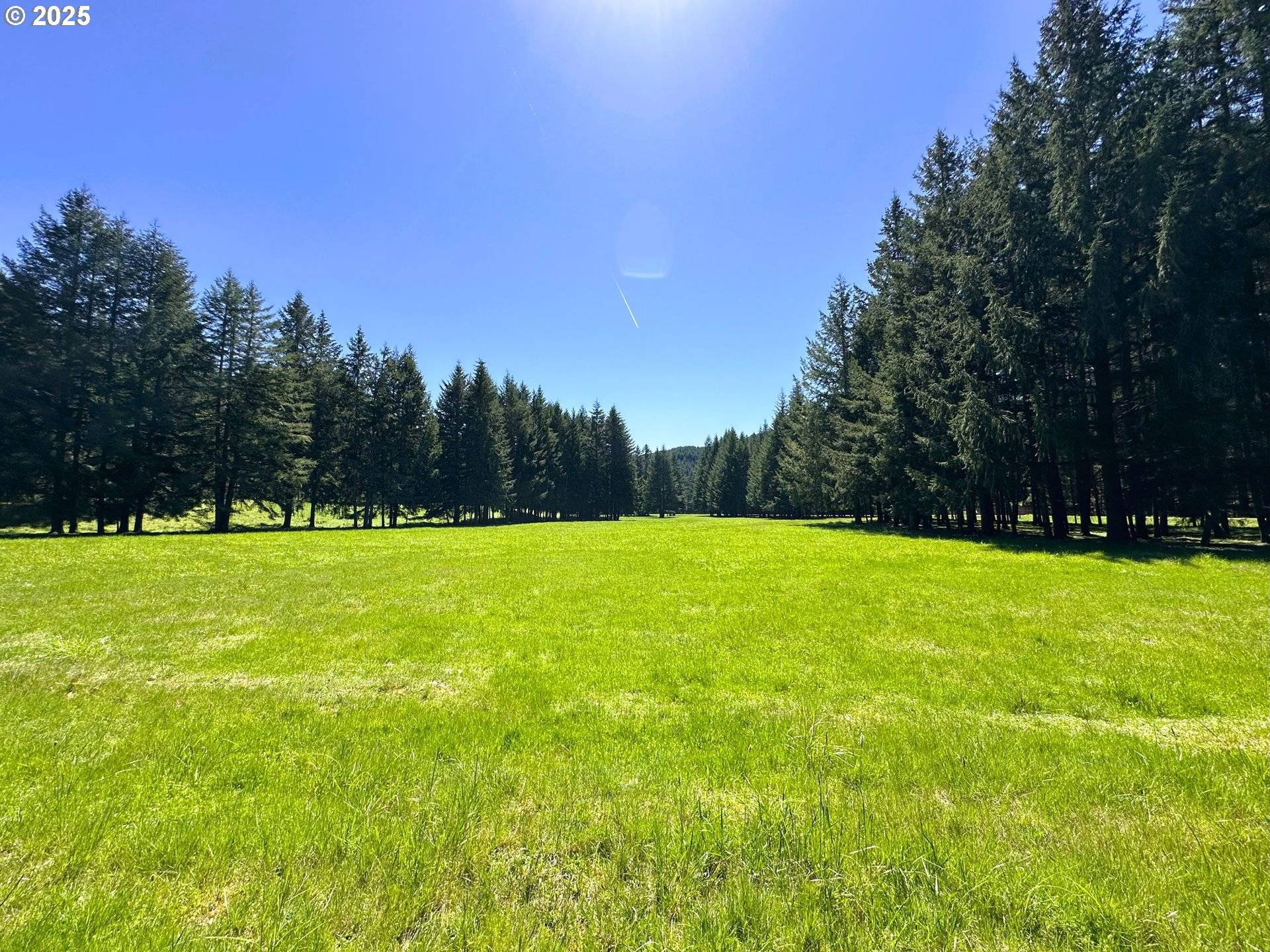 75325 MOSBY CREEK RD, Cottage Grove, OR 97424