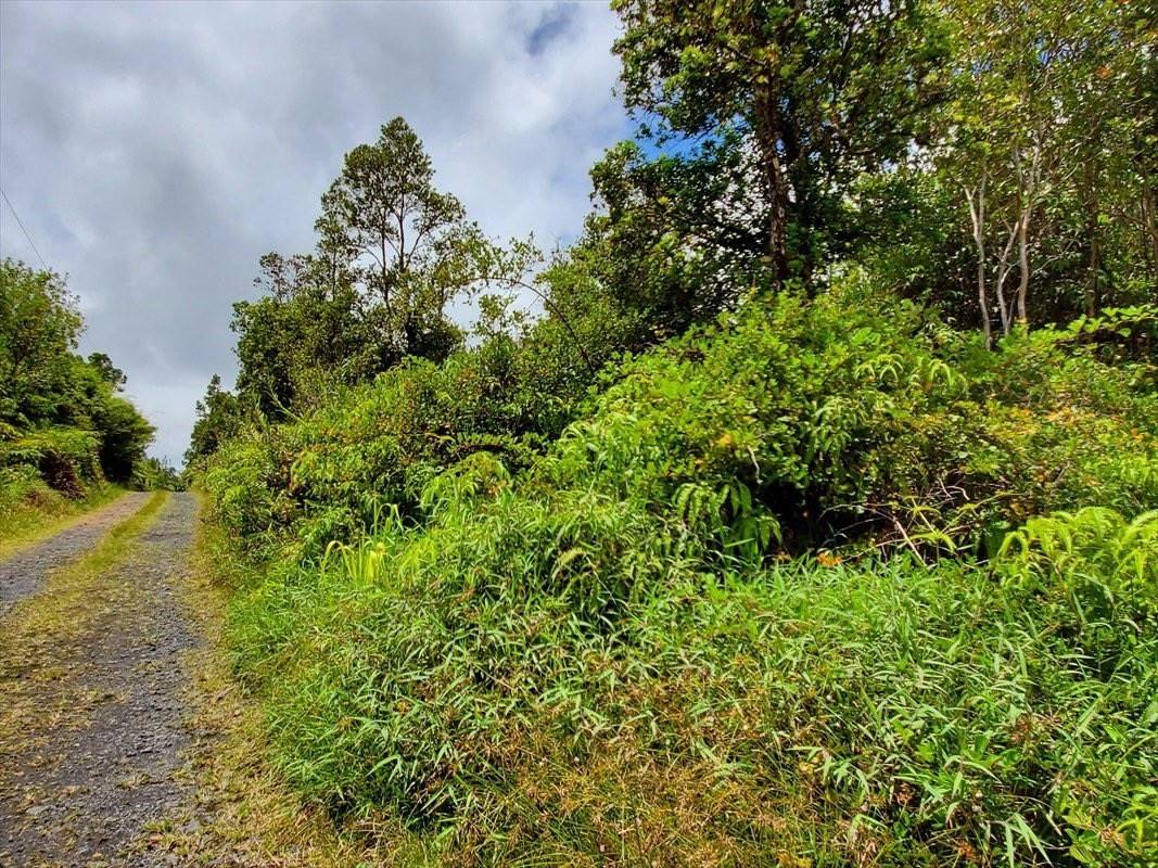 KOPAA ST, Mountain View, HI 96771