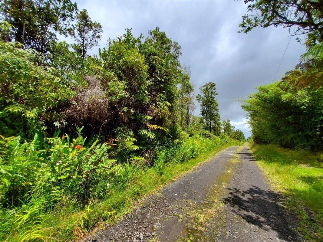 KOPAA ST, Mountain View, HI 96771