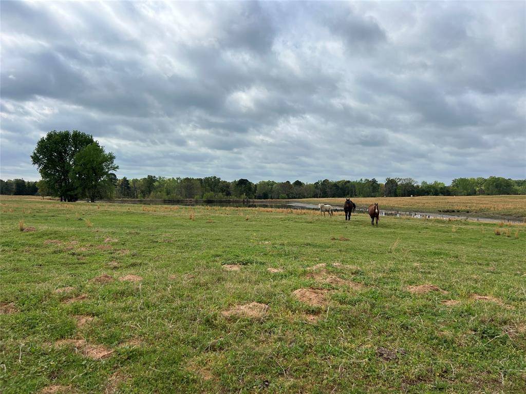 TBD FM 1001, Cookville, TX 75558