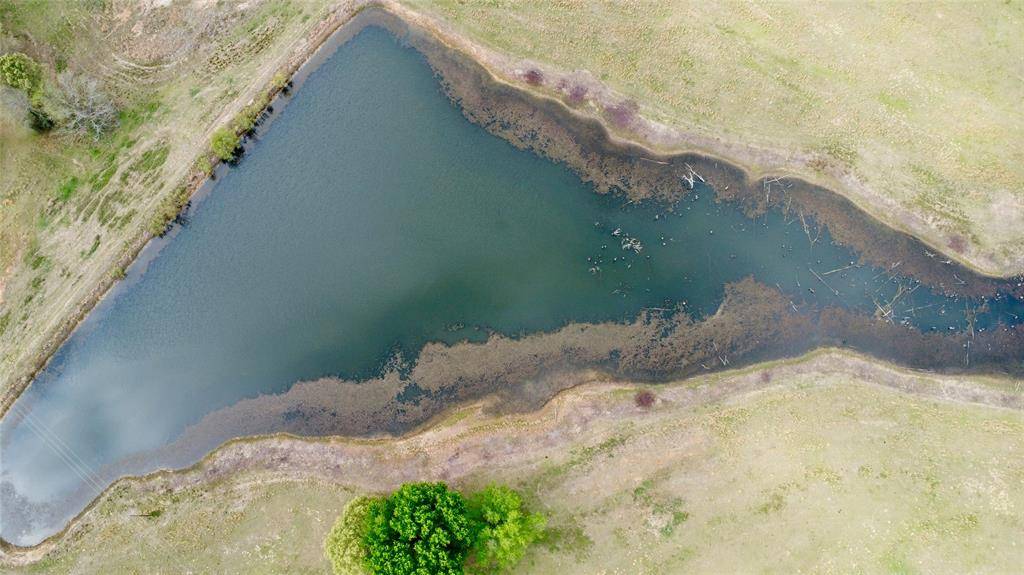 TBD FM 1001, Cookville, TX 75558