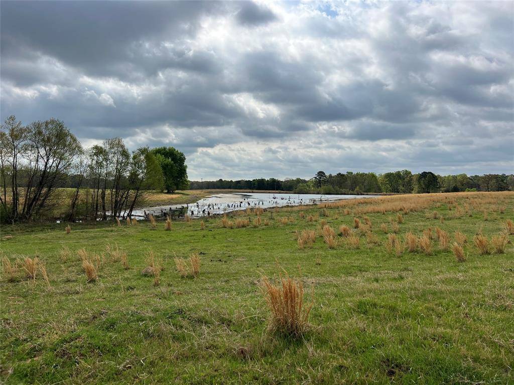 TBD FM 1001, Cookville, TX 75558