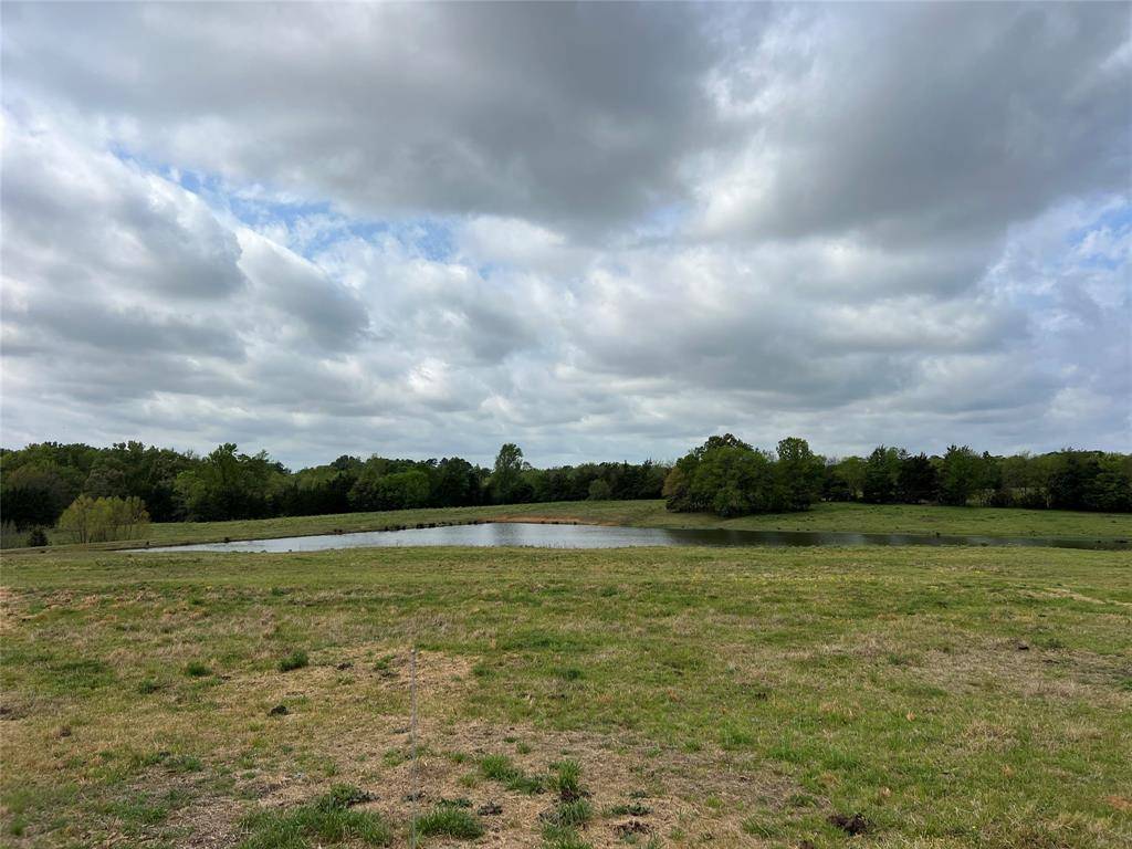 TBD FM 1001, Cookville, TX 75558