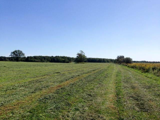4001 Courtright Line, Enniskillen, ON N0N 1P0