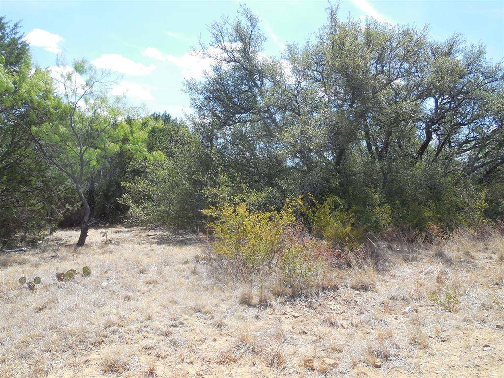 TBD 10 Acres CR 136, Ranger, TX 76470