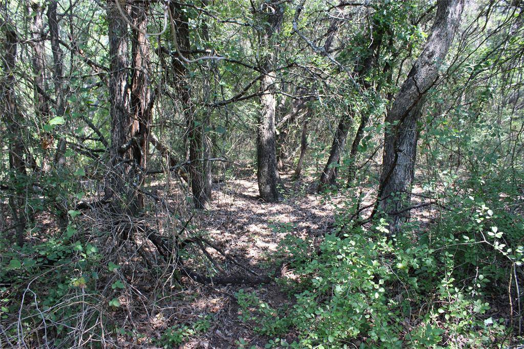 24042 Stonewood Drive, Whitney, TX 76692