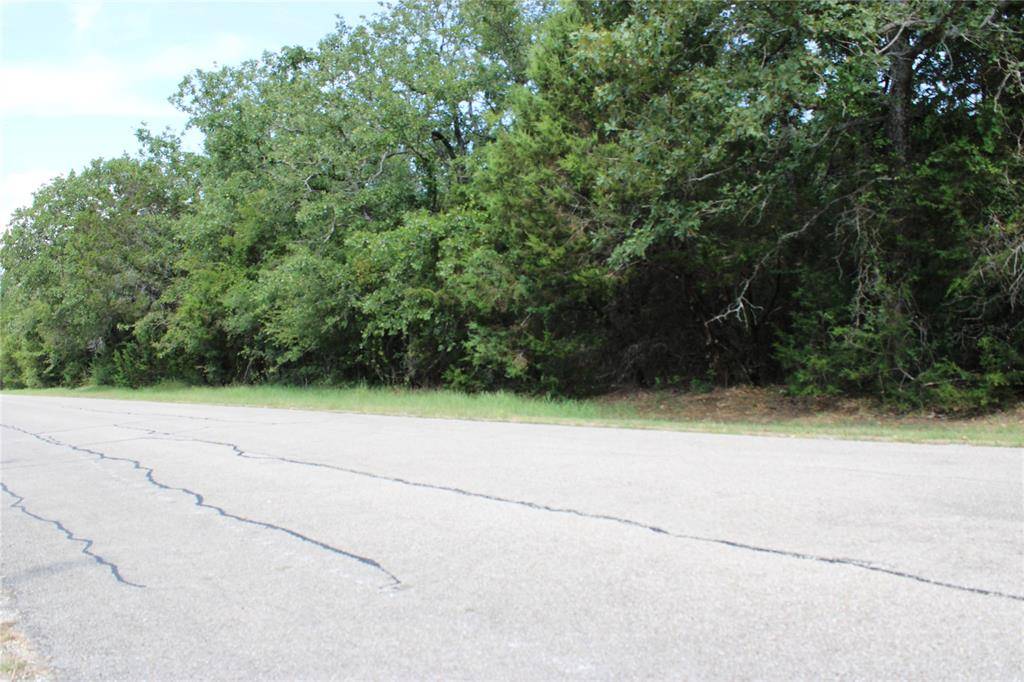 24042 Stonewood Drive, Whitney, TX 76692