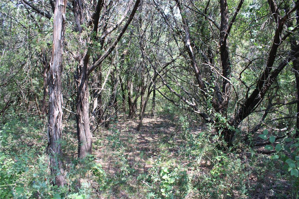 24043 Stonewood Drive, Whitney, TX 76692
