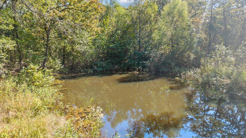 2022 Vz County Road 1514, Grand Saline, TX 75140