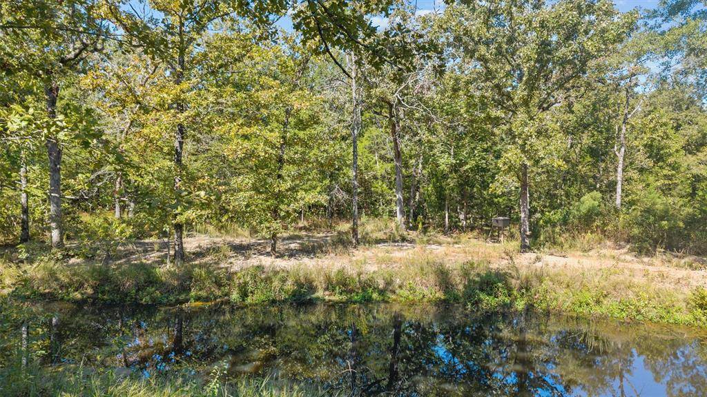 2022 Vz County Road 1514, Grand Saline, TX 75140