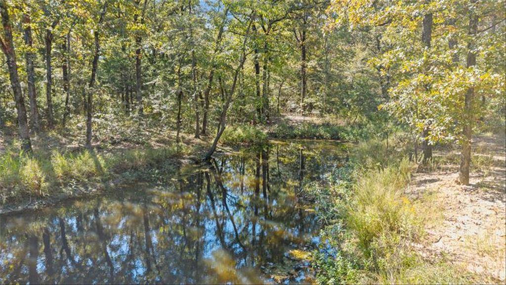 2022 Vz County Road 1514, Grand Saline, TX 75140