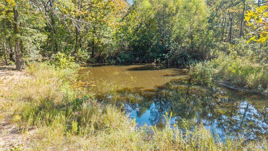 2022 Vz County Road 1514, Grand Saline, TX 75140