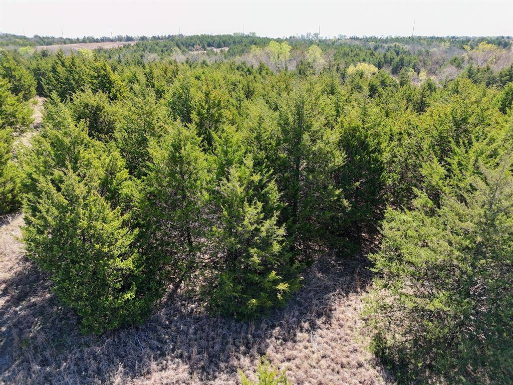 TBD County Road 670, Blue Ridge, TX 75424