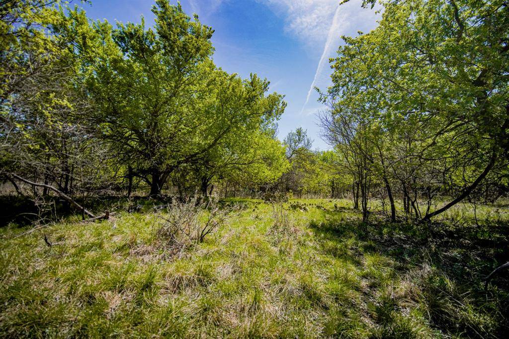 100 Acres FM 2950, Jermyn, TX 76459