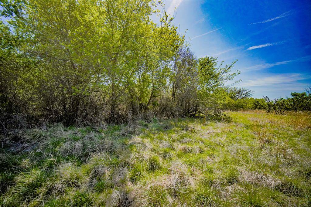 100 Acres FM 2950, Jermyn, TX 76459