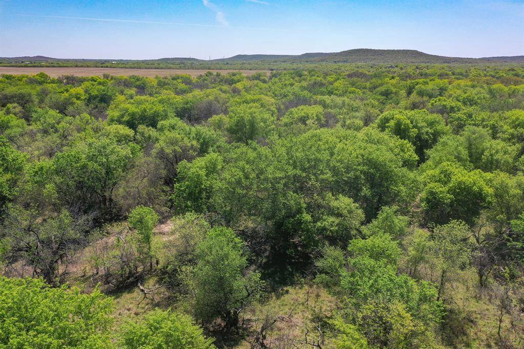100 Acres FM 2950, Jermyn, TX 76459