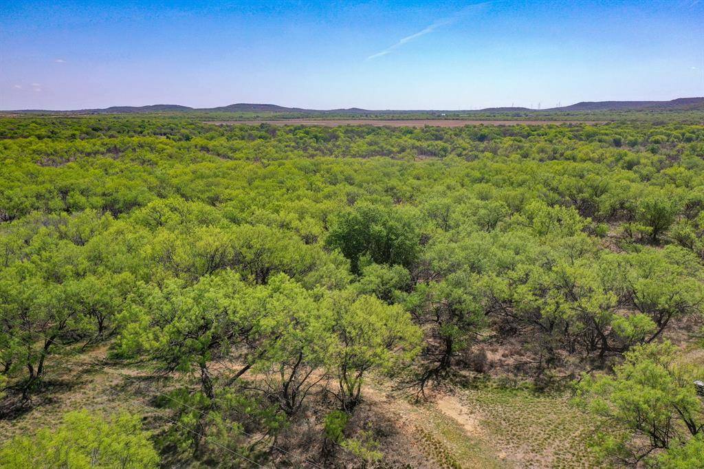 100 Acres FM 2950, Jermyn, TX 76459