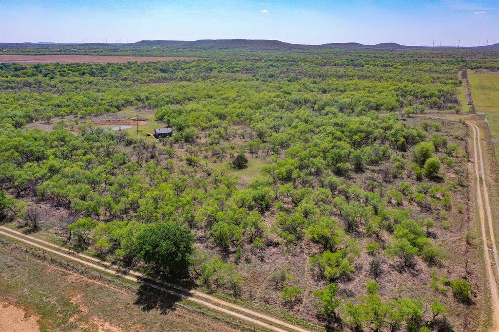 100 Acres FM 2950, Jermyn, TX 76459