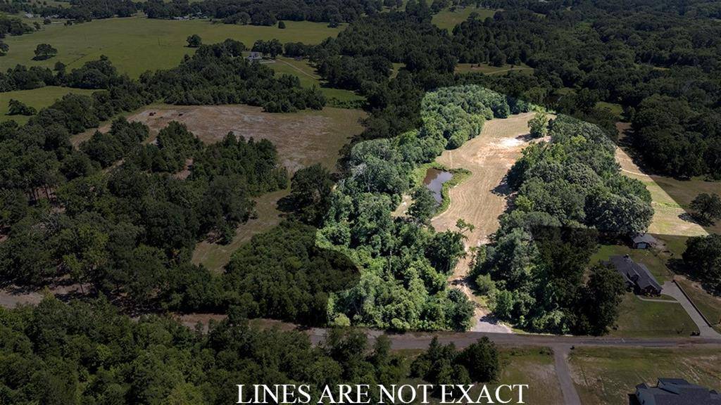 TBD Lee Road, Murchison, TX 75778