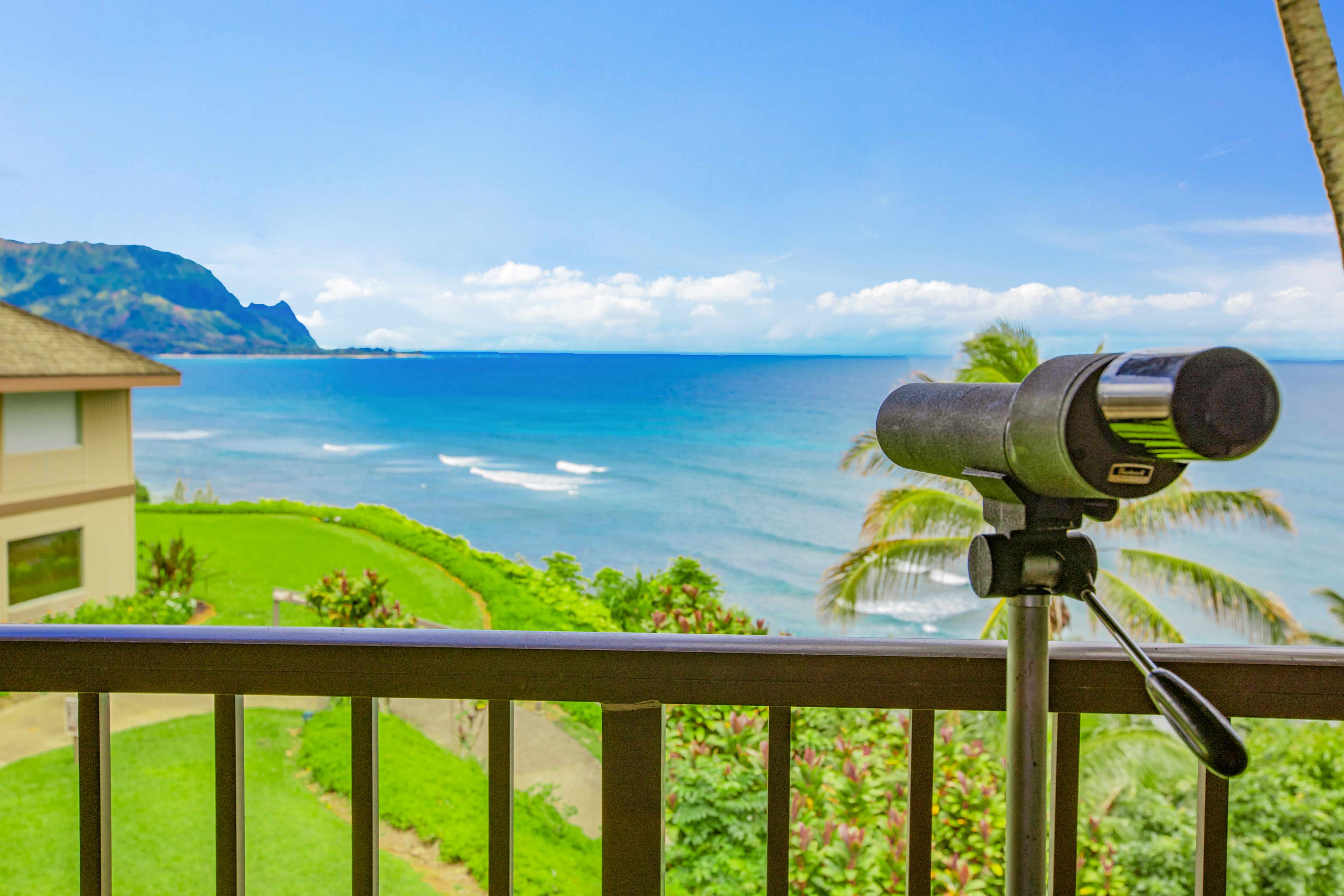 5300 KA HAKU RD #208, Princeville, HI 96722