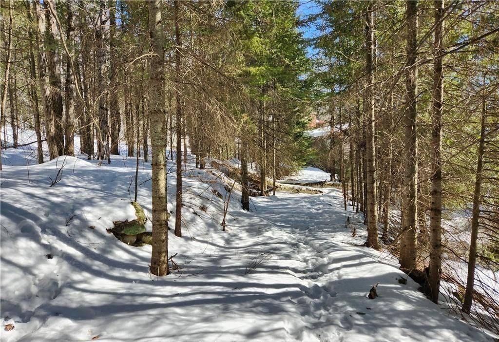 0 POVERTY BAY TRL, Minden Hills, ON K0M 2K0