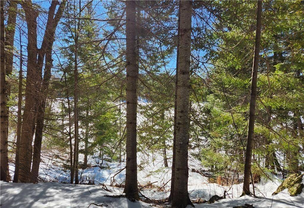 0 POVERTY BAY TRL, Minden Hills, ON K0M 2K0