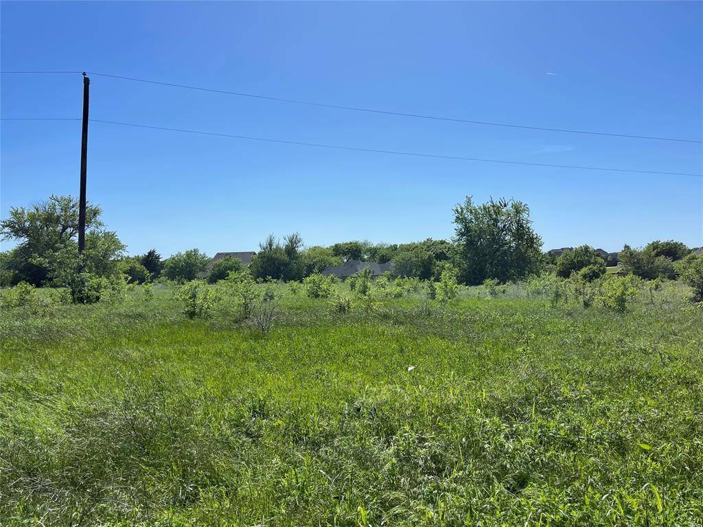 00 McAlpin Road, Midlothian, TX 76065