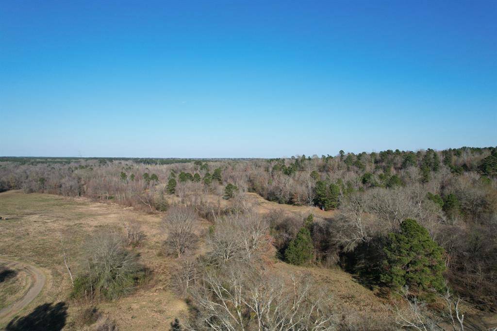 TBD Reeves Rd, Garrison, TX 75945