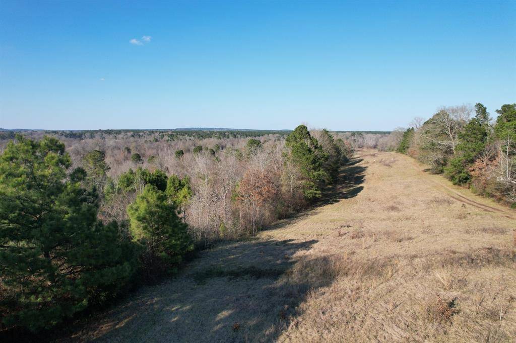 TBD Reeves Rd, Garrison, TX 75945