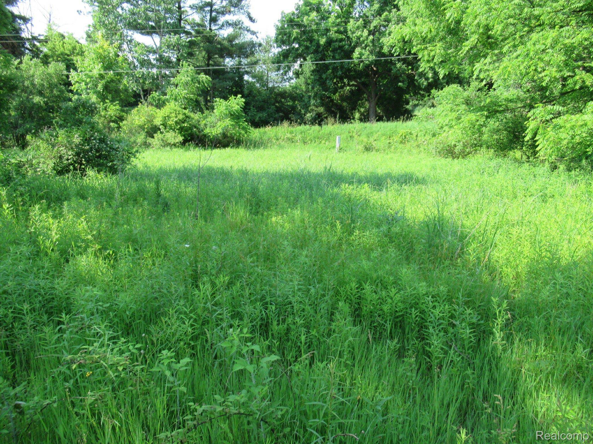 000 S Hadley Road, Ortonville Village, MI 48348