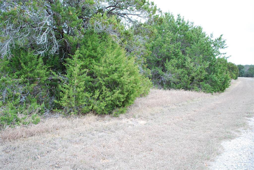 43111 Indian Blanket Drive, Whitney, TX 76692