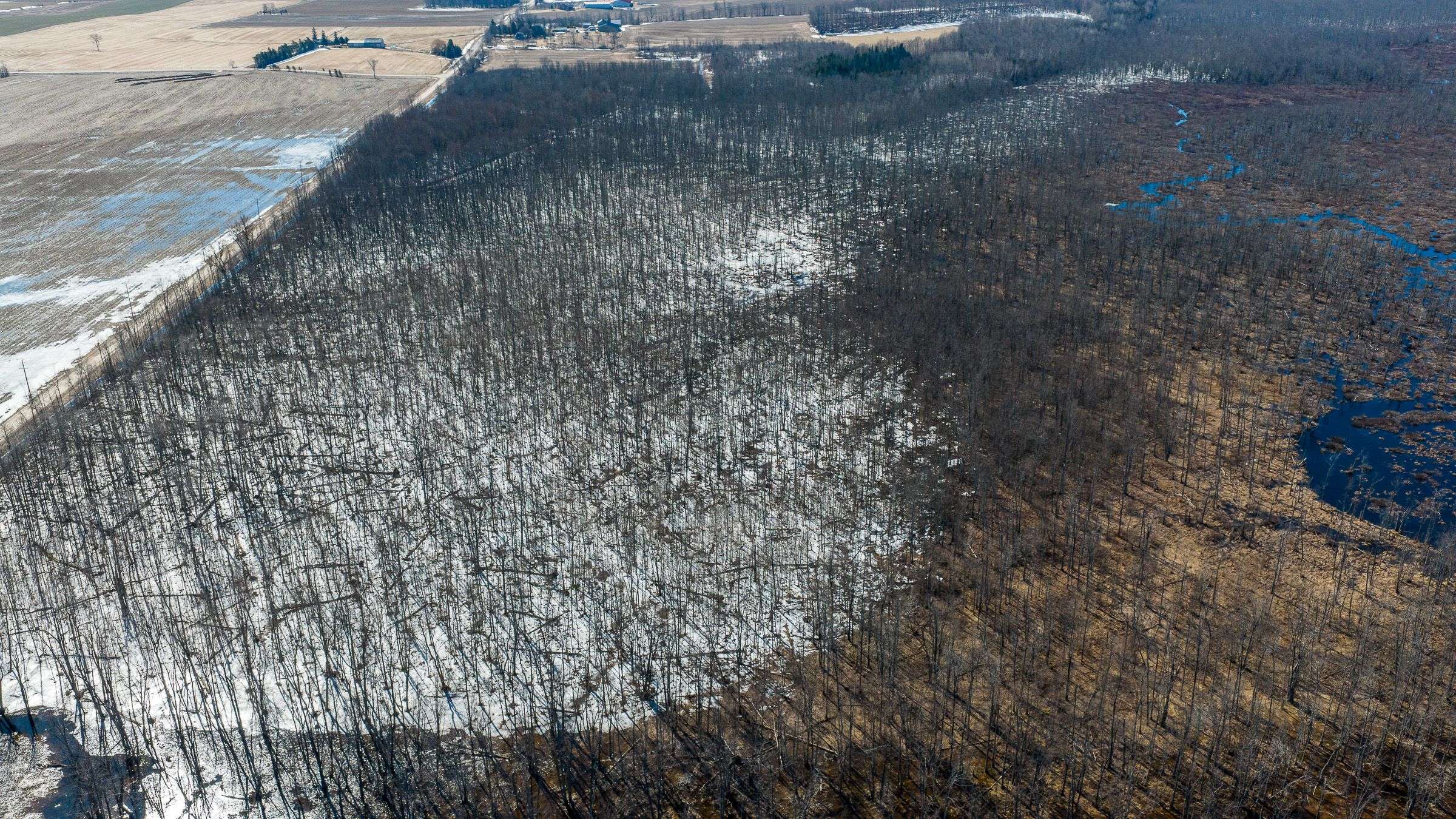 CON 13 S PT LT 19-20 Sideroad 20 Arran N/A, Arran-elderslie, ON N0H 1A0