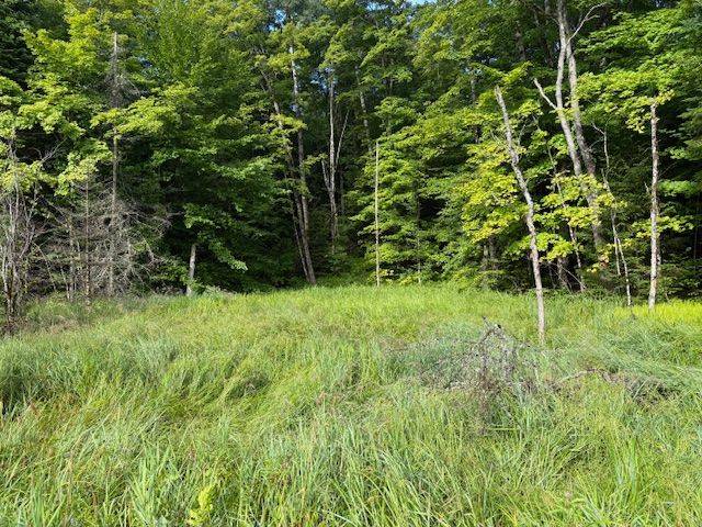 1788 Old Muskoka RD, Huntsville, ON P0B 1M0