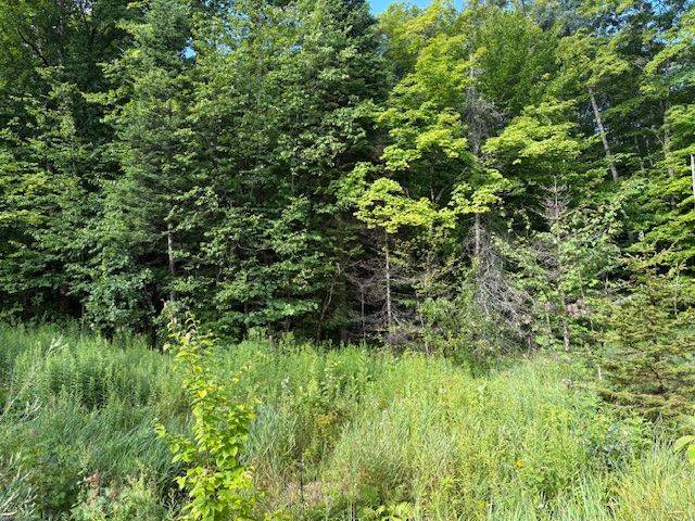 1788 Old Muskoka RD, Huntsville, ON P0B 1M0