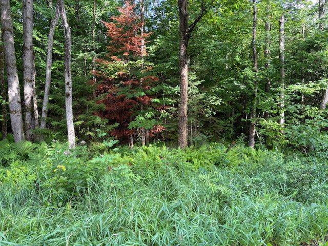 1788 Old Muskoka RD, Huntsville, ON P0B 1M0