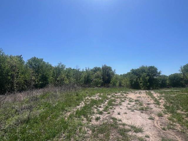 1004 Bermes Court, Brock, TX 76087