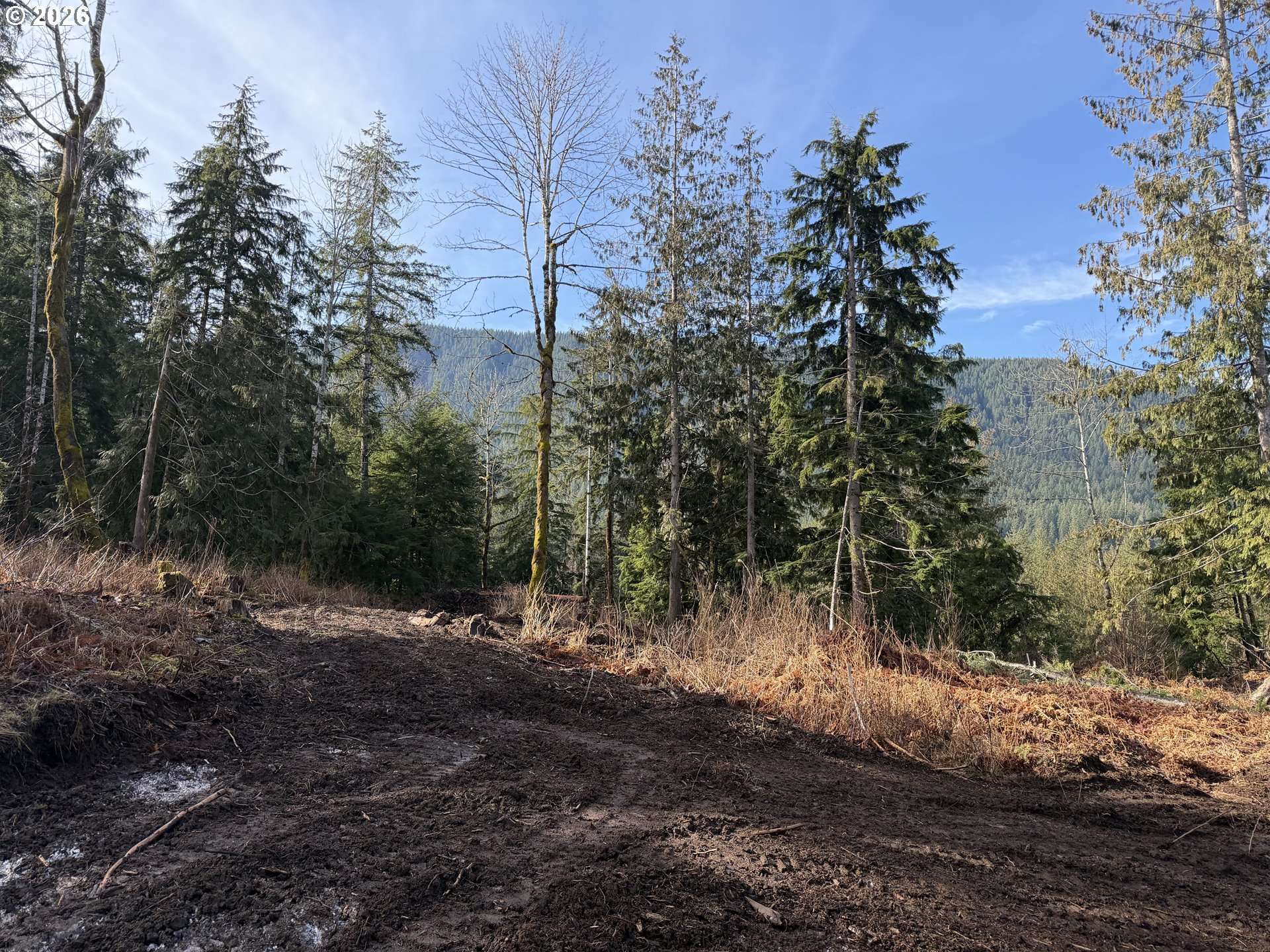 0 E BELLE LAKE RD #2, Rhododendron, OR 97049