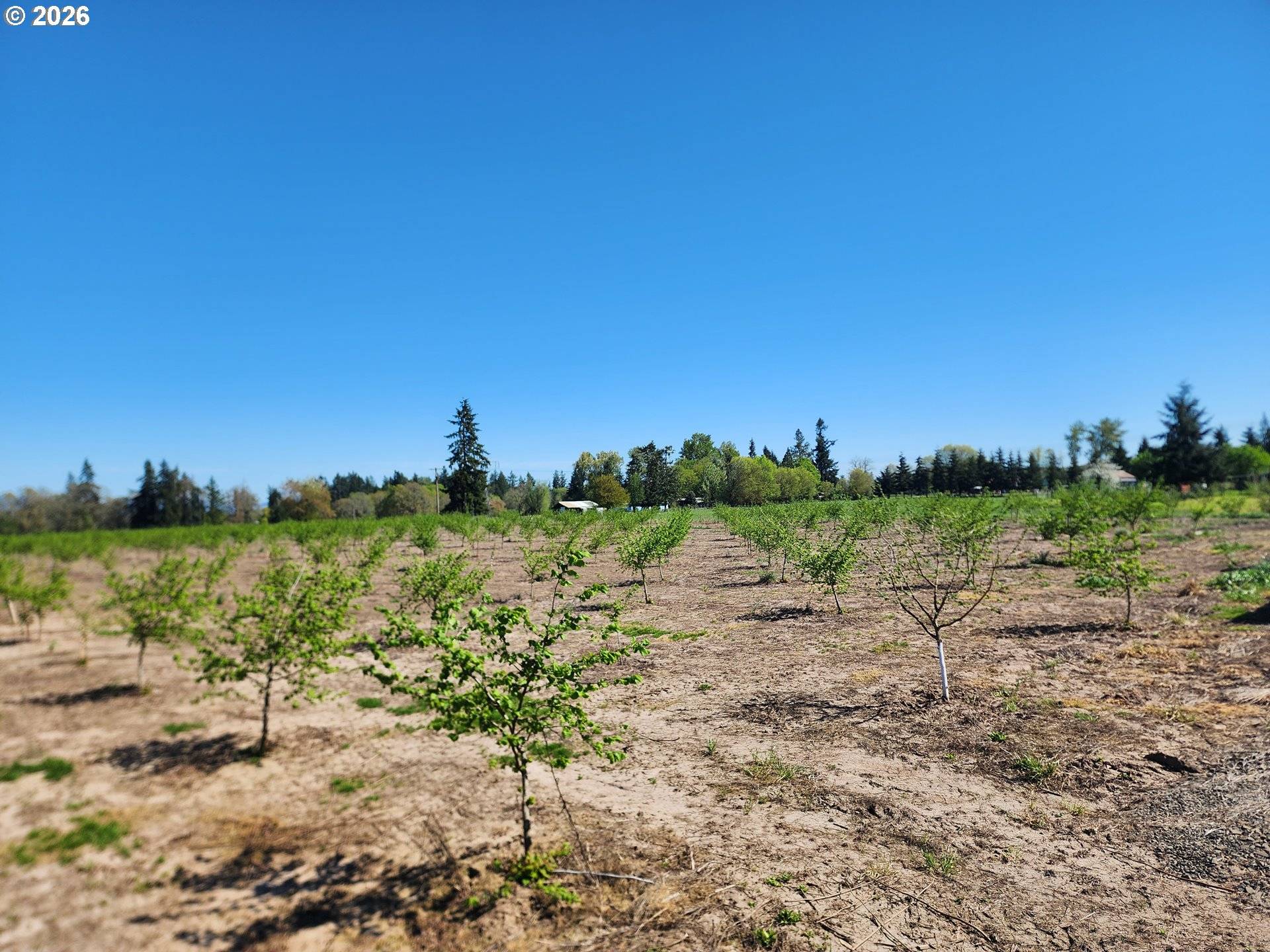 36501 GILKEY RD, Scio, OR 97374