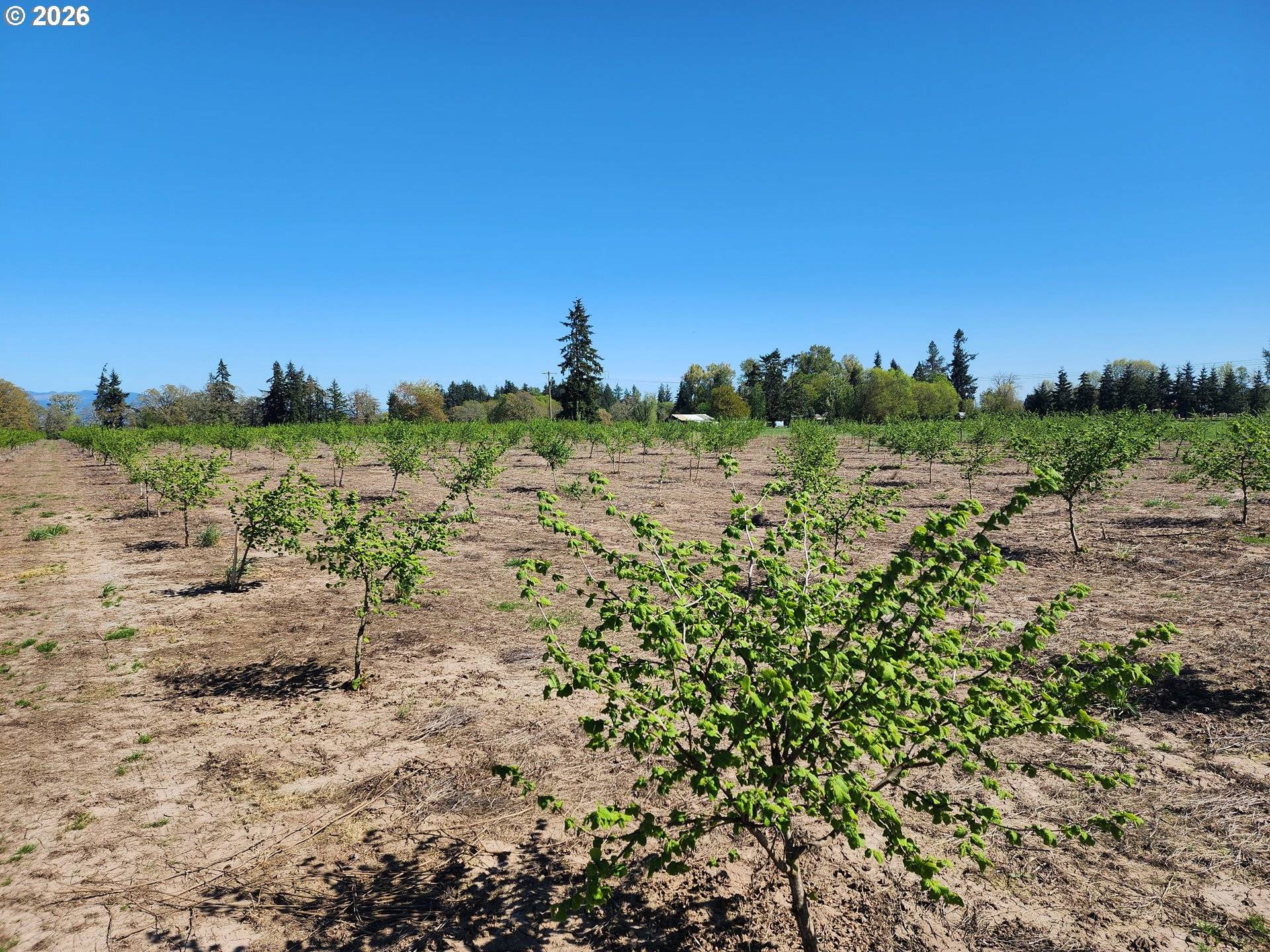 36501 GILKEY RD, Scio, OR 97374