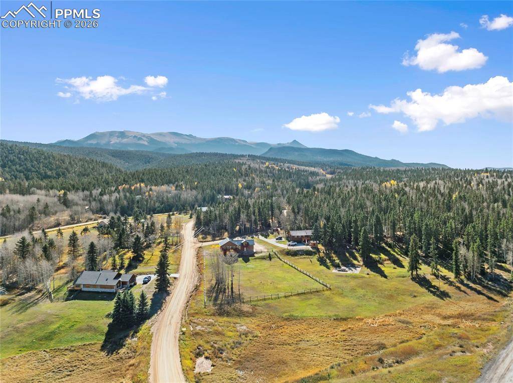 19 Worley RD, Divide, CO 80814