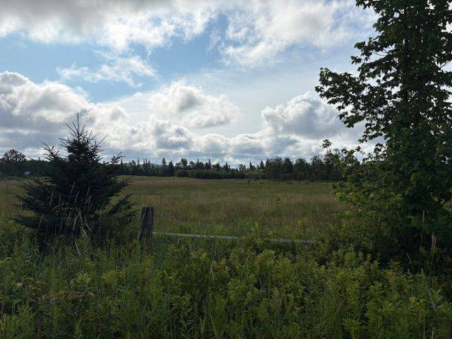 0 Old Muskoka to the West Side of #1105 RD, Huntsville, ON P0B 1M0