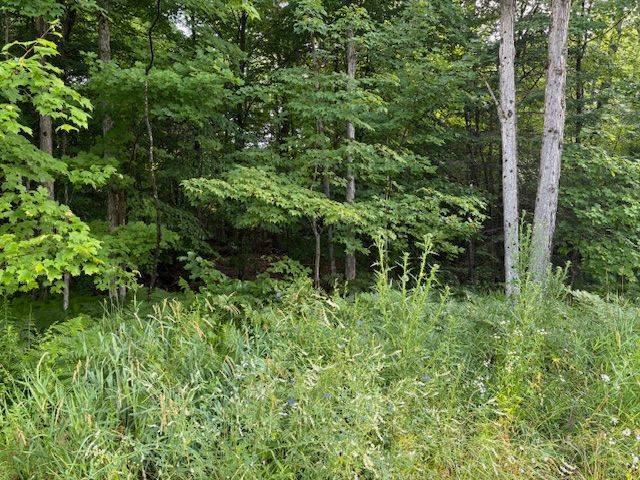 60 SUMMER LEIGH TRL, Huntsville, ON P0B 1M0