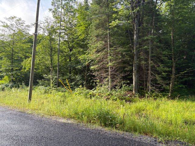 60 SUMMER LEIGH TRL, Huntsville, ON P0B 1M0