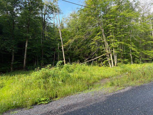 60 SUMMER LEIGH TRL, Huntsville, ON P0B 1M0