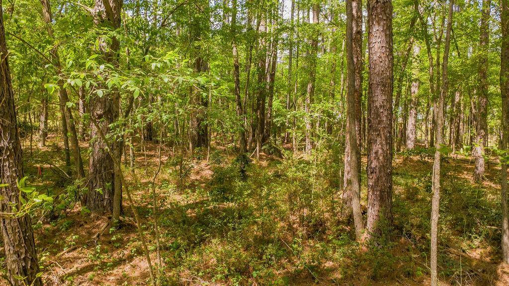 1723 Pineview Lane, Hideaway, TX 75771