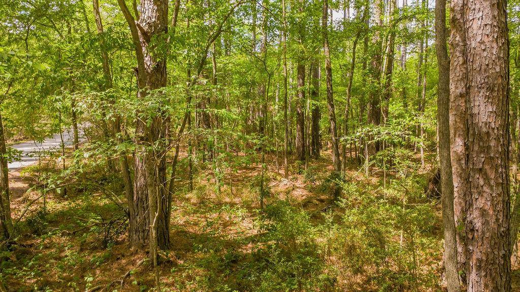 1723 Pineview Lane, Hideaway, TX 75771