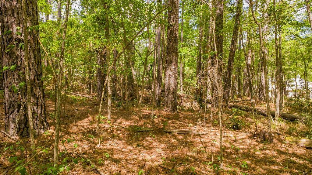 1723 Pineview Lane, Hideaway, TX 75771