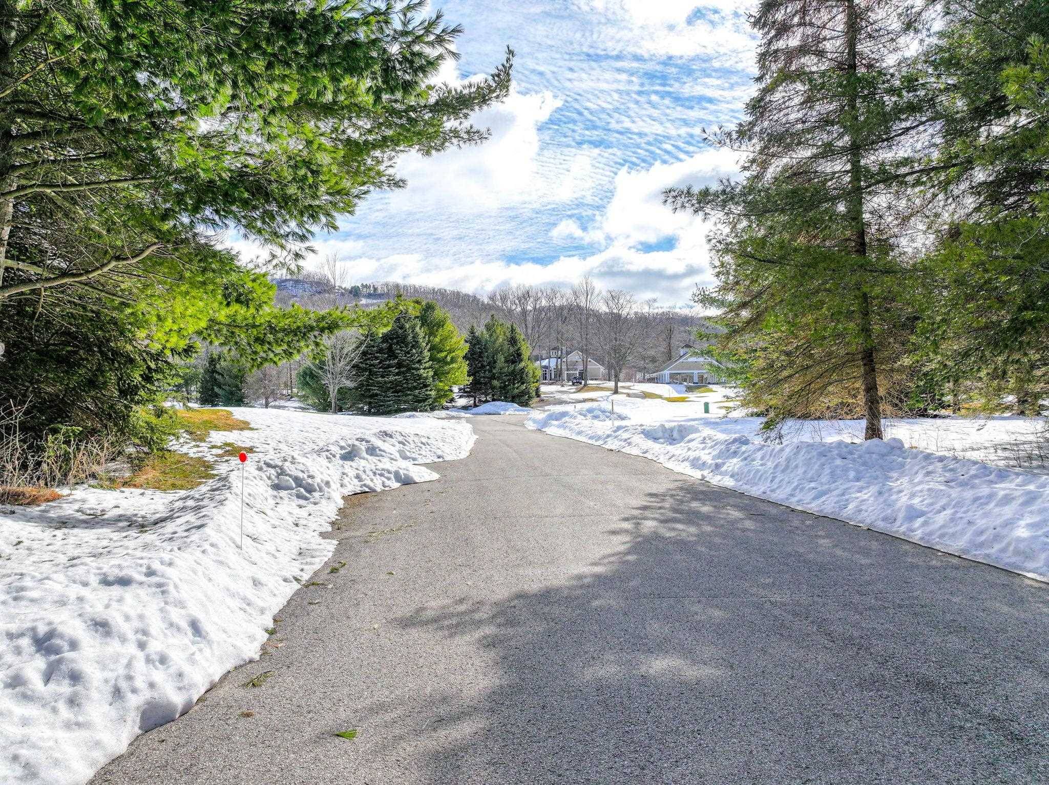 Lot 16 S Club DR, Cleveland Twp, MI 49621